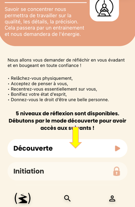 Ambassadeur 6